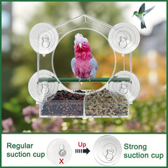 Window Bird Feeder w/ Strong Suction Cups - 3 Compartment Tray