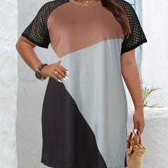 Colorblock Lace Sleeve Round Neck Dress