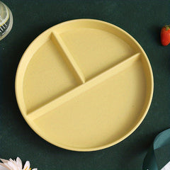 Plastic Dinner Plate for Weight Loss and Picnic