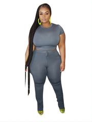 Solid Crop Top & High Waist Pant Set Women's Plus Casual Co ords