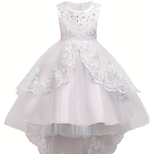Girls Puffy Princess Dress Sleeveless Beaded Flowers Embroidery Tulle Lace Tutu