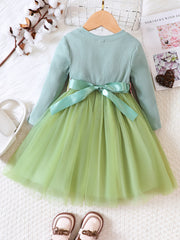 Girls Flowers Embroidered Belt Mesh Tutu Dress