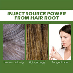 Natural Hair Shampoo with Polygonum Multiflorum & Ginger Extract 3.52 fl oz