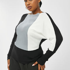 Colorblock Batwing Sleeve Sweater Plus Size Long Sleeve Round Neck Sweater