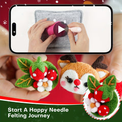 10pcs Wool Needle Felting Kit with English Instruction for Beginner