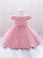 Baby Girls Puff Sleeve Mesh Princess Dress Clothes