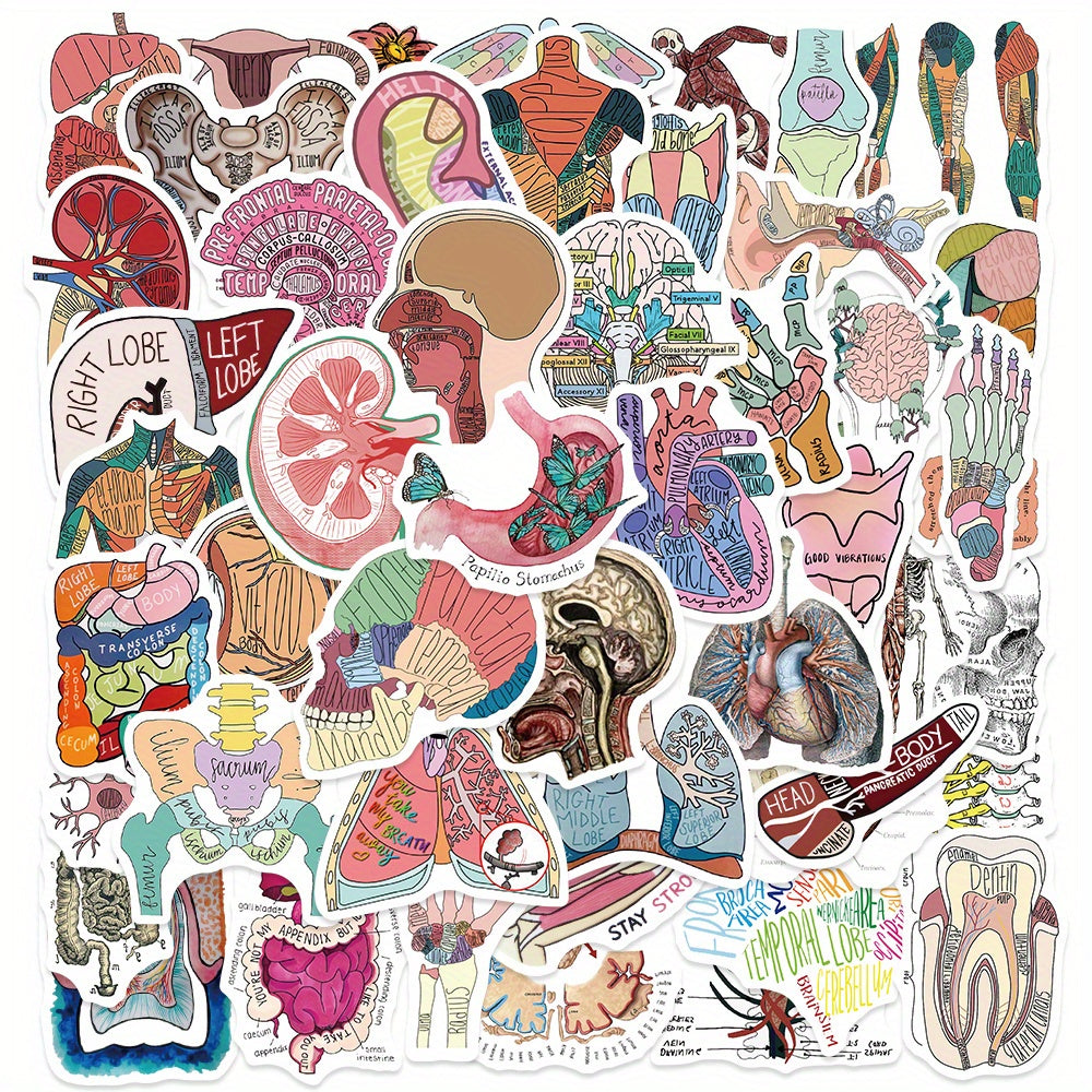 50pcs Anatomy Cartoon Organ Stickers Waterproof Stickers