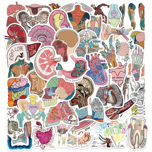 50pcs Anatomy Cartoon Organ Stickers Waterproof Stickers