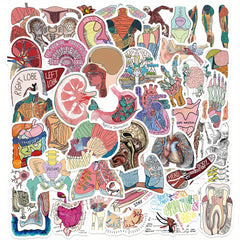 50pcs Anatomy Cartoon Organ Stickers Waterproof Stickers