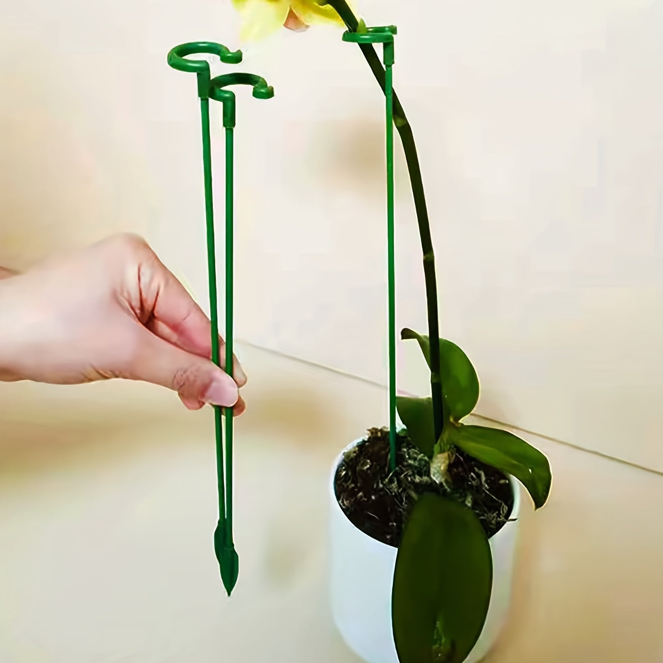 4pcs Phalaenopsis Flower Stands Leaf Protection Branch Protection