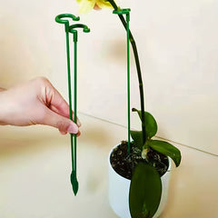 4pcs Phalaenopsis Flower Stands Leaf Protection Branch Protection