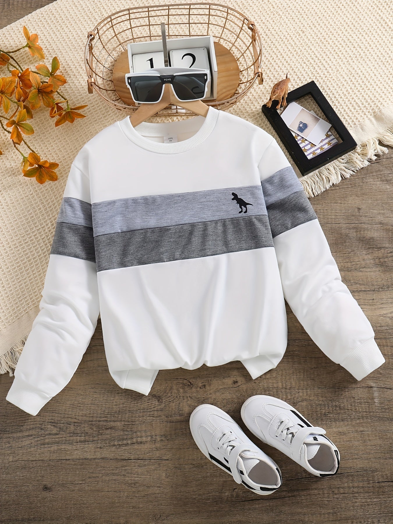 Dino Print Boys Sweatshirt Long Sleeve Crew Neck Tops