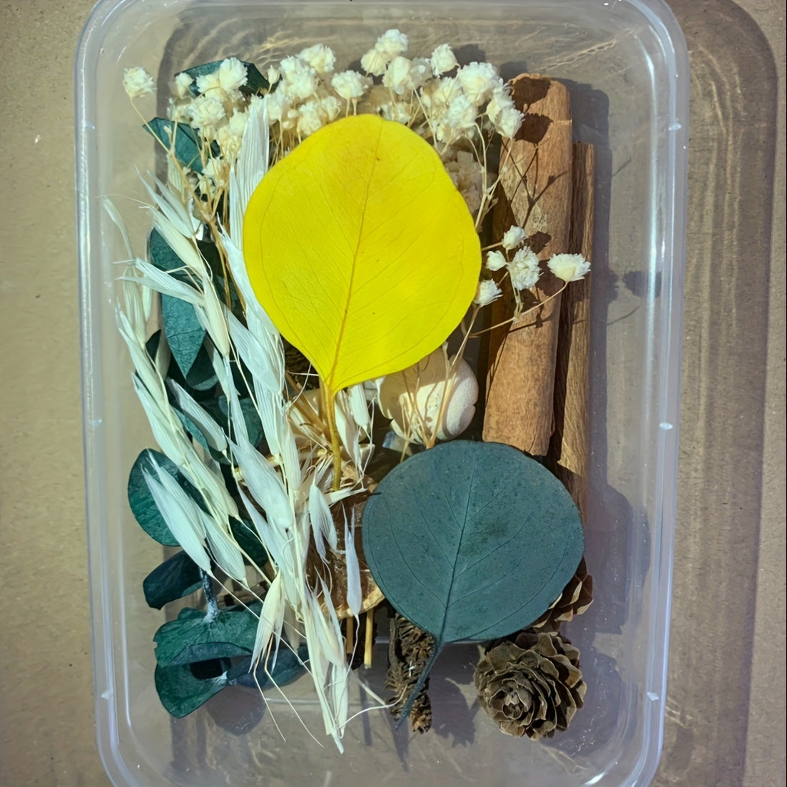 Dried Fruits & Flowers DIY Kit Pine Nuts Cinnamon Ornaments