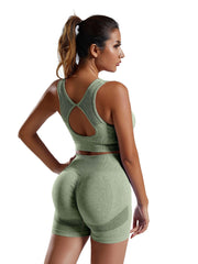 2pcs Yoga Workout Sets Sleeveless Tank Top Sports Bra & High Waist Shorts