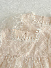 Toddler Girls' Lace Sweet Princess Dress For Party