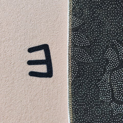 Modern Minimalist Dirt-Resistant Welcome Doormat