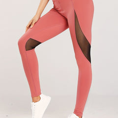 High Waist Butt Lifting Mesh Yoga Leggings