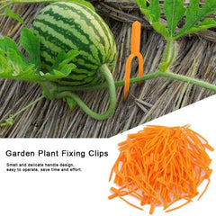 50pcs Farming Clip Plant Fixed Clamps Strawberry Watermelon Fork
