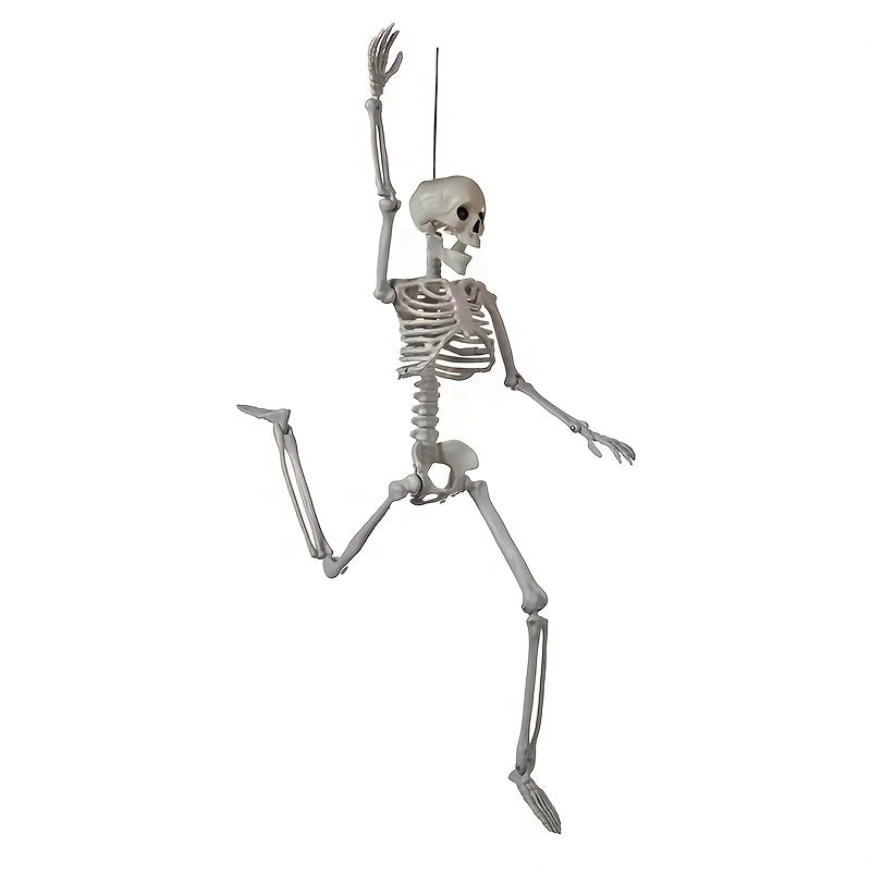 2pcs Halloween Skull Skeleton with Movable Joints - Halloween Gift