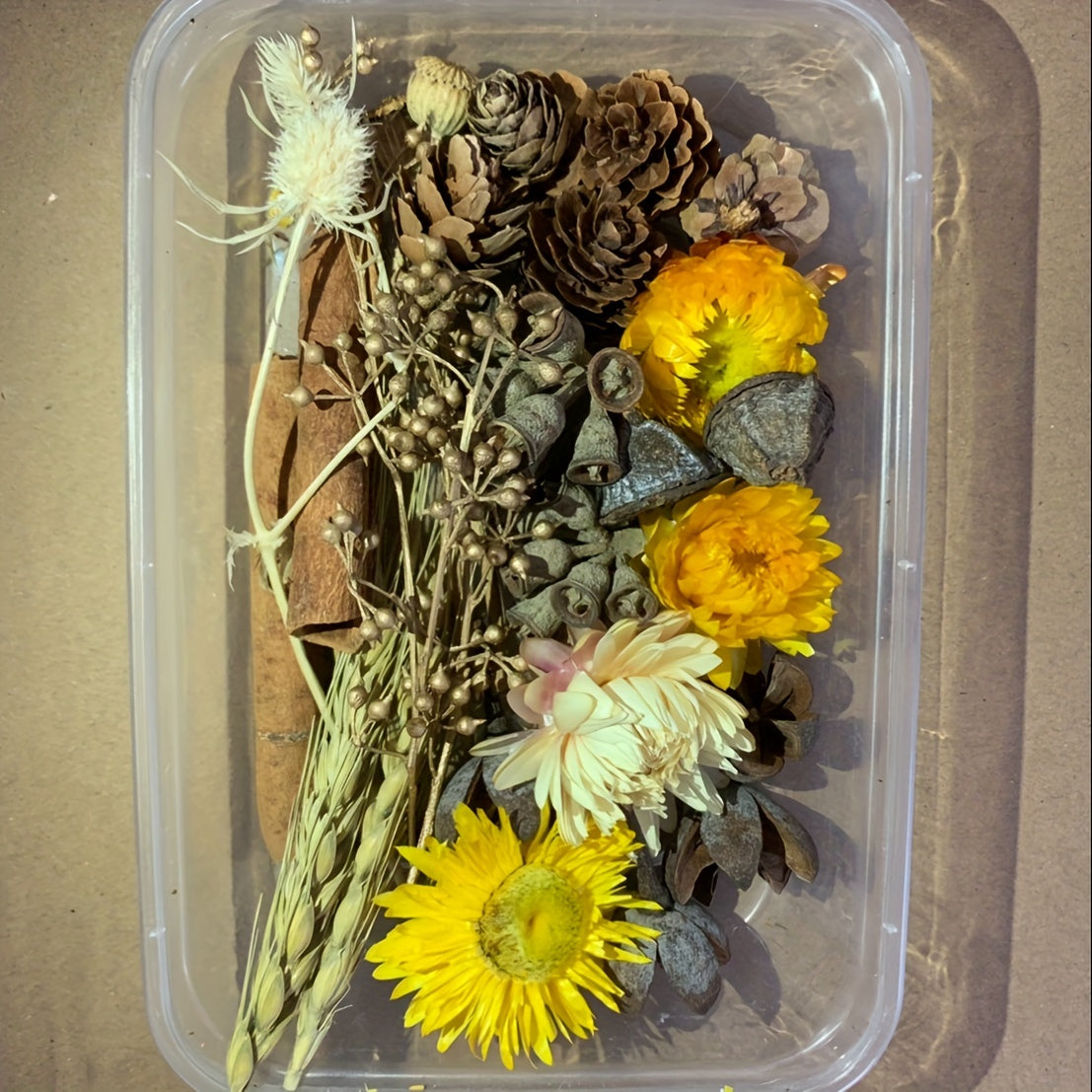 Dried Fruits & Flowers DIY Kit Pine Nuts Cinnamon Ornaments