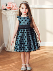 Baby Girls Polka Dot Mesh Gown Dress For Party