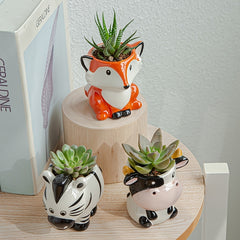 Ceramic Cartoon Flower Pot Succulent Home Gardening Pots