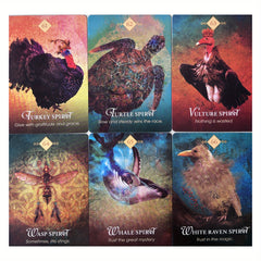 Vintage Oracle Cards & Outdoor Board Games Set