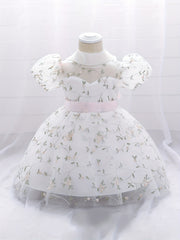 Baby Girl's Floral Embroidery Mesh Princess Dress