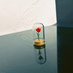 Little Prince Rose Dollhouse Rose in Glass Dome Dreamy Red Rose Ornament