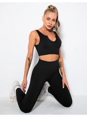 2pcs Seamless Yoga Fitness Set Women Quick Dry Sports Sleeveless Top Leggings