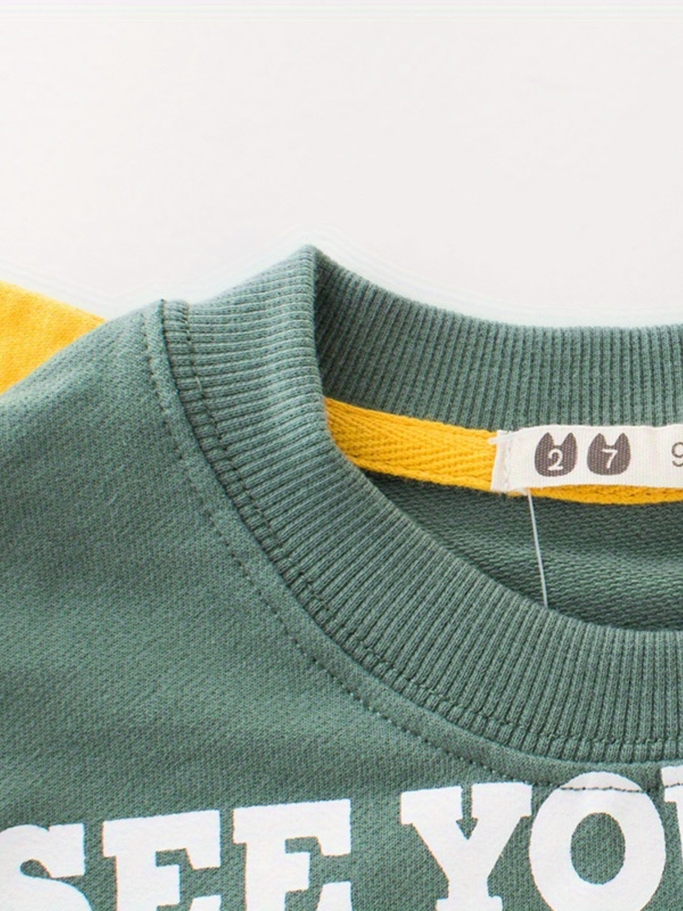 Dino Croc Print Crew Neck Sweatshirt for Boys