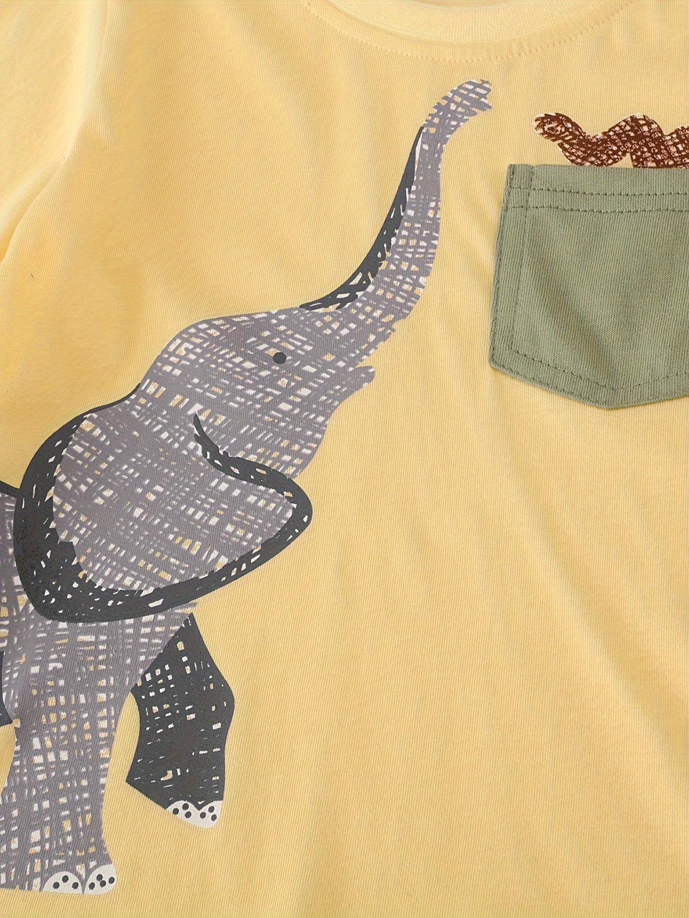 Boys Elephant Print T-shirt & Tropical Leaf Shorts Set