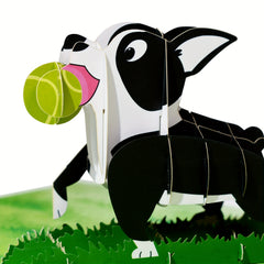 3D Pop Up Dog Card - Ideal for Any Dog Lover!
