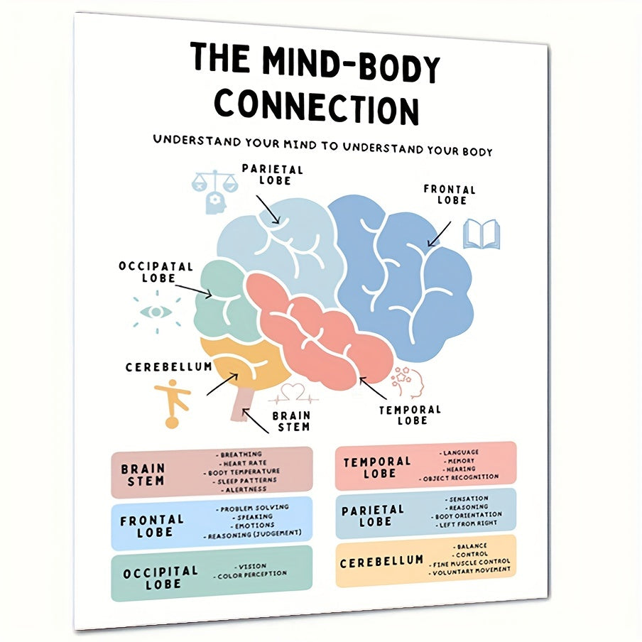 Brain Anatomy Poster Stress Management Emdr Cbt Fight Flight