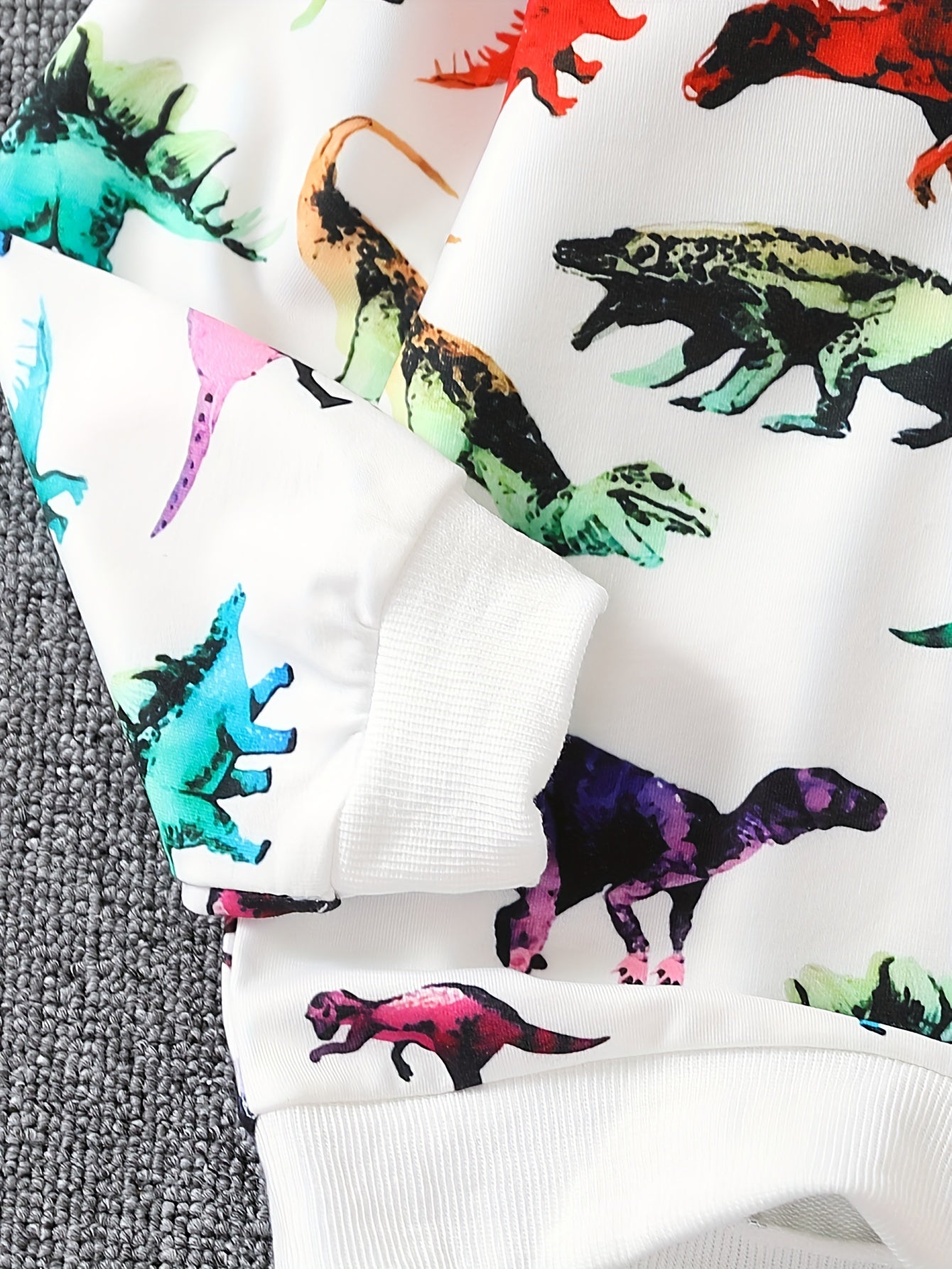 Dinosaur Full Print Boys Sweatshirt Long Sleeve Crew Neck Tops