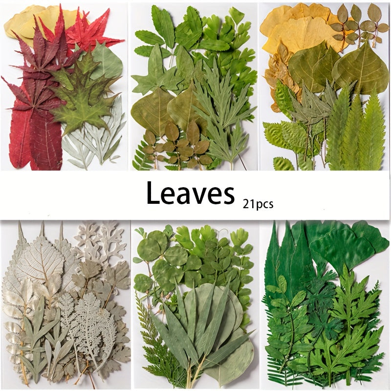 Dried Flower Embossed DIY Face Stickers True Leaves Plant Specimens