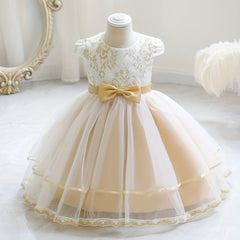 Baby Girls Floral Embroidery Mesh Princess Dress Clothes