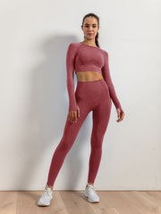 Stylish 2 Piece Yoga Suit Push Up Leggings & Long Sleeve Top