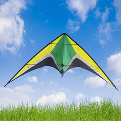 Dual Line Wing Kite for Outdoor Entertainment