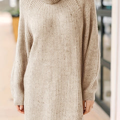 Lantern Sleeve Turtle Neck Knit Dress