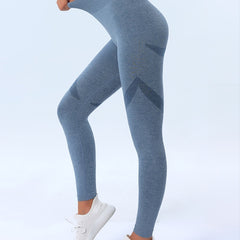 High Waist Seamless Leggings for Women, Ideal for Yoga and Gym
