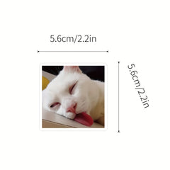 100PCS Cat Stickers Vinyl Waterproof Decals Scrapbook Laptop Bumper Skateboard