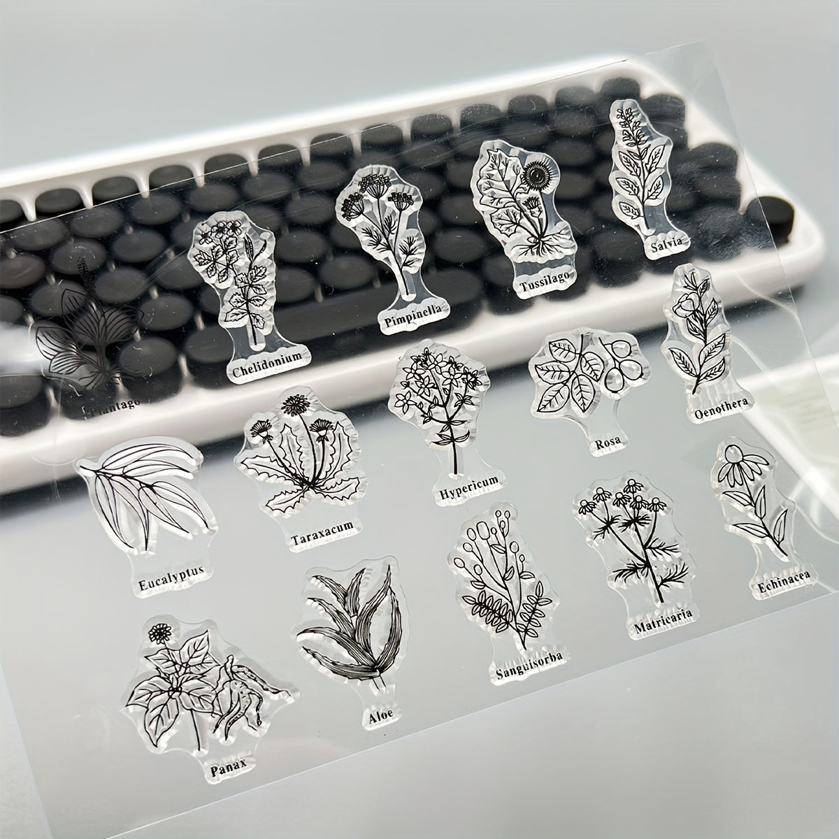 Transparent Plant Silicone Stamp for DIY Handbook Seal