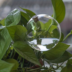 Large Capacity Glass Ball Plant Automatic Dripper Home Garden Watering Device