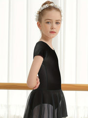 Toddler Girls Ballet Leotard Tutu Dress