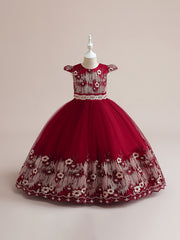 Girls Embroidered Fit and Flare Prom Dress for Party Show