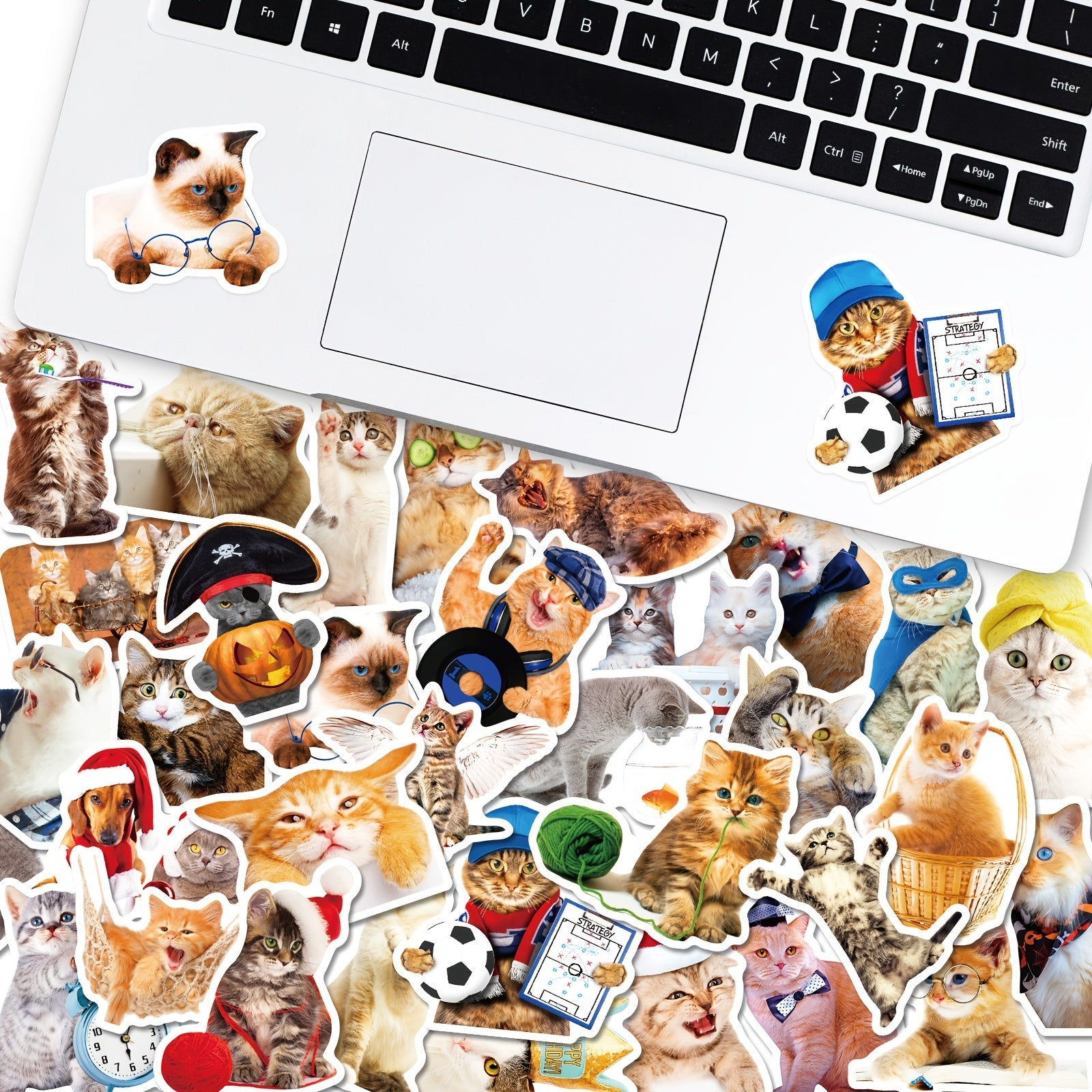 100pcs Realistic Cat Mixed Stickers for Water Cup Computer Mobile Phone Decor