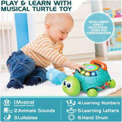 Early Education Music Turtle Toy for Infants 6-18 Months