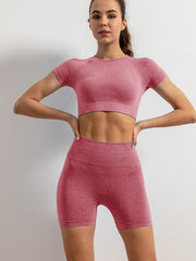 2pcs Yoga Sports Sets Quick Drying Short Sleeve Sports Cropped Tank Tops
