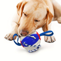 Durable Flying Disc Football Dog Toy